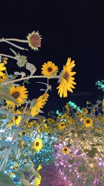 せんだい農業園芸センター　みどりの杜に投稿された画像（2022/8/13）