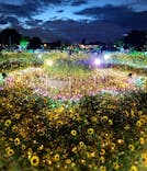 せんだい農業園芸センター　みどりの杜に投稿された画像（2022/8/13）