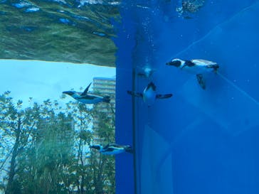 サンシャイン水族館に投稿された画像（2022/8/13）