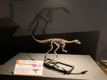 ひらかたパークに投稿された画像（2022/8/13）