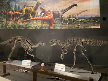 ひらかたパークに投稿された画像（2022/8/13）