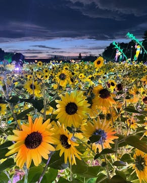 せんだい農業園芸センター　みどりの杜に投稿された画像（2022/8/13）