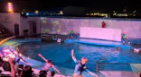 仙台うみの杜水族館に投稿された画像（2022/8/13）