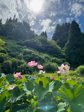 清津峡渓谷トンネルに投稿された画像（2022/8/13）