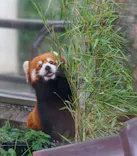天王寺動物園に投稿された画像（2022/8/13）