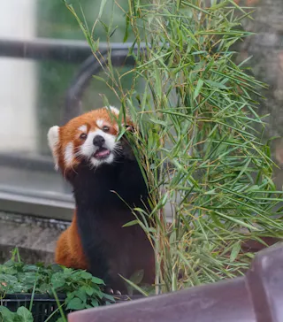 天王寺動物園に投稿された画像（2022/8/13）