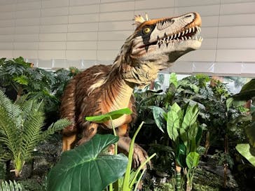 ジュラシック大恐竜展2022 in ときメッセに投稿された画像（2022/8/13）