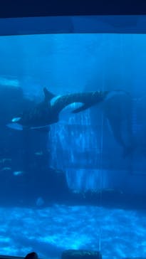 名古屋港水族館に投稿された画像（2022/8/13）