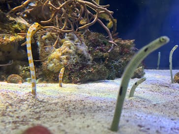 名古屋港水族館に投稿された画像（2022/8/13）
