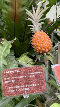 神戸どうぶつ王国に投稿された画像（2022/8/13）