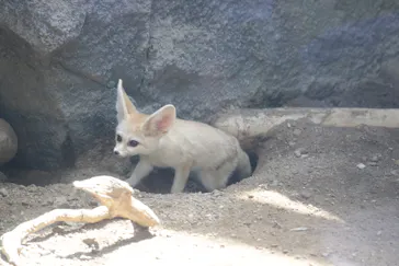 神戸どうぶつ王国に投稿された画像（2022/8/13）