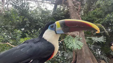 神戸どうぶつ王国に投稿された画像（2022/8/13）