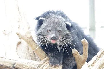 神戸どうぶつ王国に投稿された画像（2022/8/13）