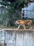 天王寺動物園に投稿された画像（2022/8/14）
