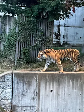 天王寺動物園に投稿された画像（2022/8/13）