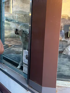 天王寺動物園に投稿された画像（2022/8/13）