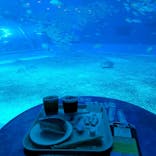 沖縄美ら海水族館に投稿された画像（2022/8/14）