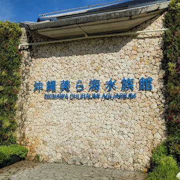 沖縄美ら海水族館に投稿された画像（2022/8/13）