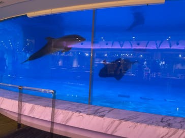 マリンワールド海の中道に投稿された画像（2022/8/13）