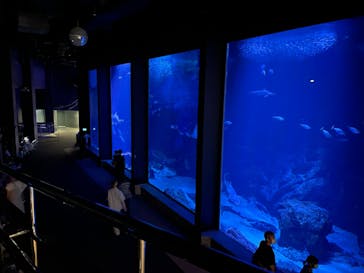 マリンワールド海の中道に投稿された画像（2022/8/13）