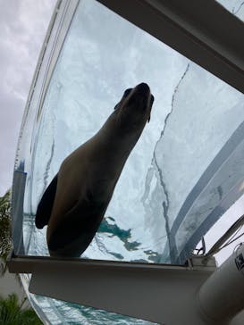 サンシャイン水族館に投稿された画像（2022/8/13）