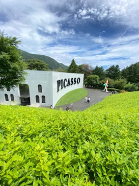 彫刻の森美術館に投稿された画像（2022/8/14）