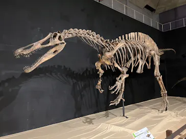 ひらかたパークに投稿された画像（2022/8/14）