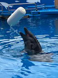 仙台うみの杜水族館に投稿された画像（2022/8/14）