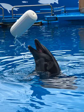 仙台うみの杜水族館に投稿された画像（2022/8/14）