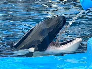 名古屋港水族館に投稿された画像（2022/8/14）