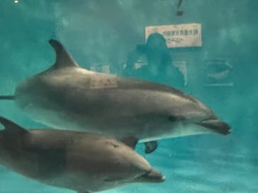 名古屋港水族館に投稿された画像（2022/8/14）
