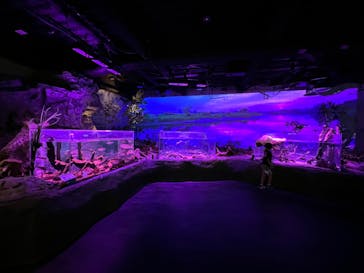 カワスイ 川崎⽔族館に投稿された画像（2022/8/14）