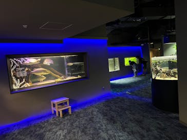 カワスイ 川崎⽔族館に投稿された画像（2022/8/14）