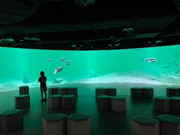 カワスイ 川崎⽔族館に投稿された画像（2022/8/14）