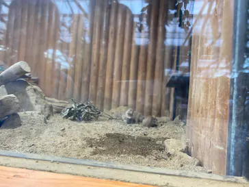 神戸どうぶつ王国に投稿された画像（2022/8/14）