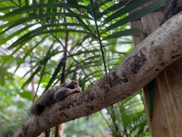 神戸どうぶつ王国に投稿された画像（2022/8/14）