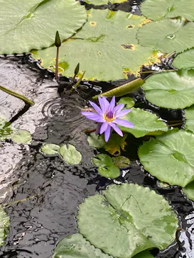神戸どうぶつ王国に投稿された画像（2022/8/14）
