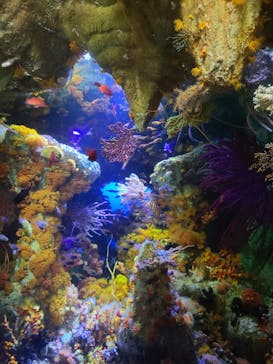 サンシャイン水族館に投稿された画像（2022/8/14）