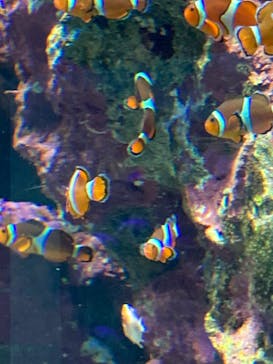 サンシャイン水族館に投稿された画像（2022/8/14）