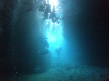 武藤潜水に投稿された画像（2022/8/14）