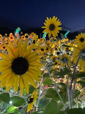 せんだい農業園芸センター　みどりの杜に投稿された画像（2022/8/14）