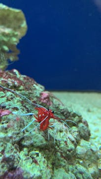 名古屋港水族館に投稿された画像（2022/8/14）