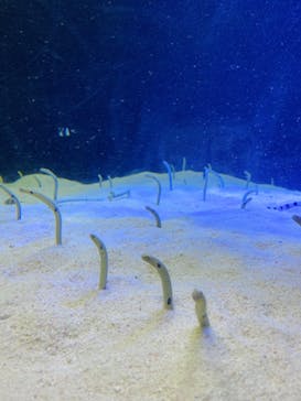 株式会社Gに投稿された画像（2022/8/14）