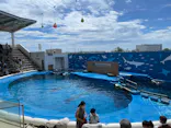 仙台うみの杜水族館に投稿された画像（2022/8/14）