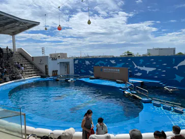 仙台うみの杜水族館に投稿された画像（2022/8/14）