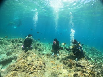 沖縄マリンサービス碧に投稿された画像（2022/8/14）