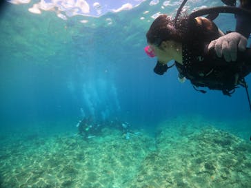 沖縄マリンサービス碧に投稿された画像（2022/8/14）