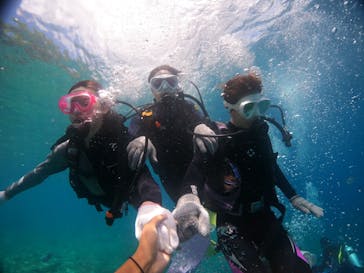 沖縄マリンサービス碧に投稿された画像（2022/8/14）