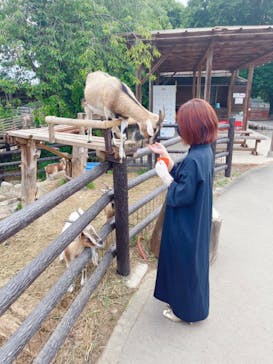 群馬サファリパークに投稿された画像（2022/8/14）