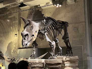 国立科学博物館に投稿された画像（2022/8/14）